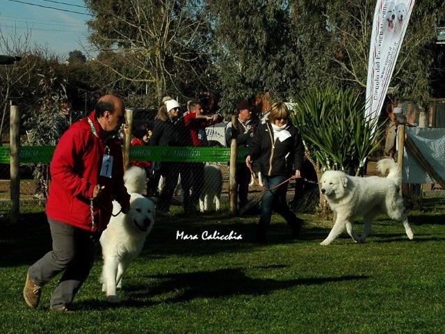 Fiero & Rubino al Campionato Sociale